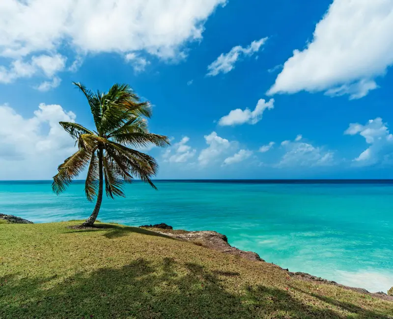 PC OFERTAS CARIBE barbados