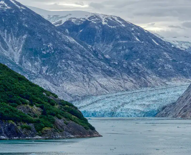 CT GLACIARES_ Endicott Arm