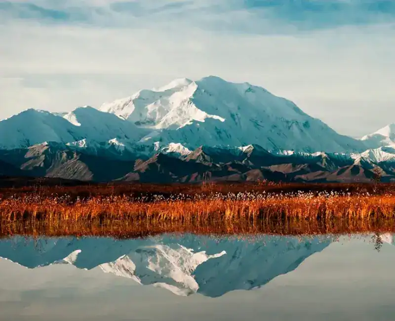 CT TOUR DENALI EXPLORER
